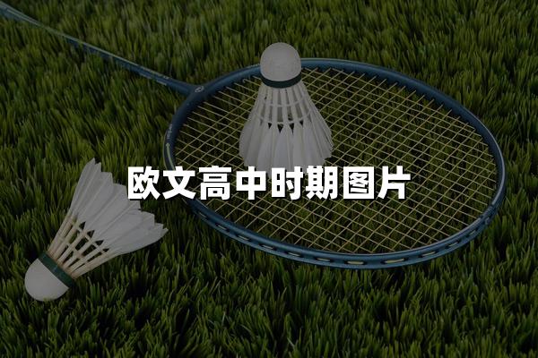 欧文高中时期图片