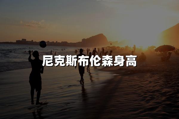 尼克斯布伦森身高