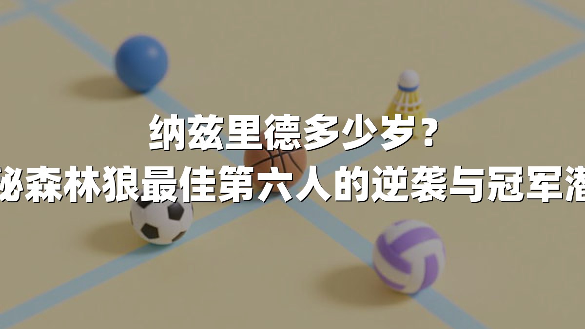 纳兹里德多少岁？揭秘森林狼最佳第六人的逆袭与冠军潜力