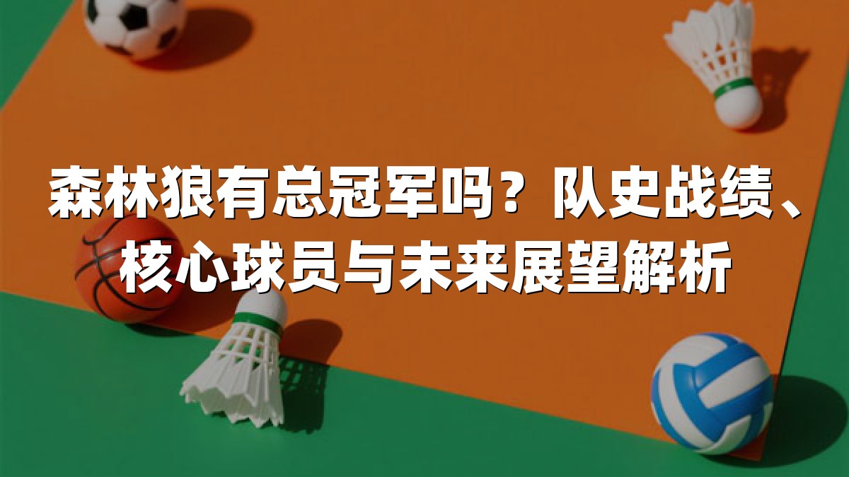 森林狼有总冠军吗？队史战绩、核心球员与未来展望解析